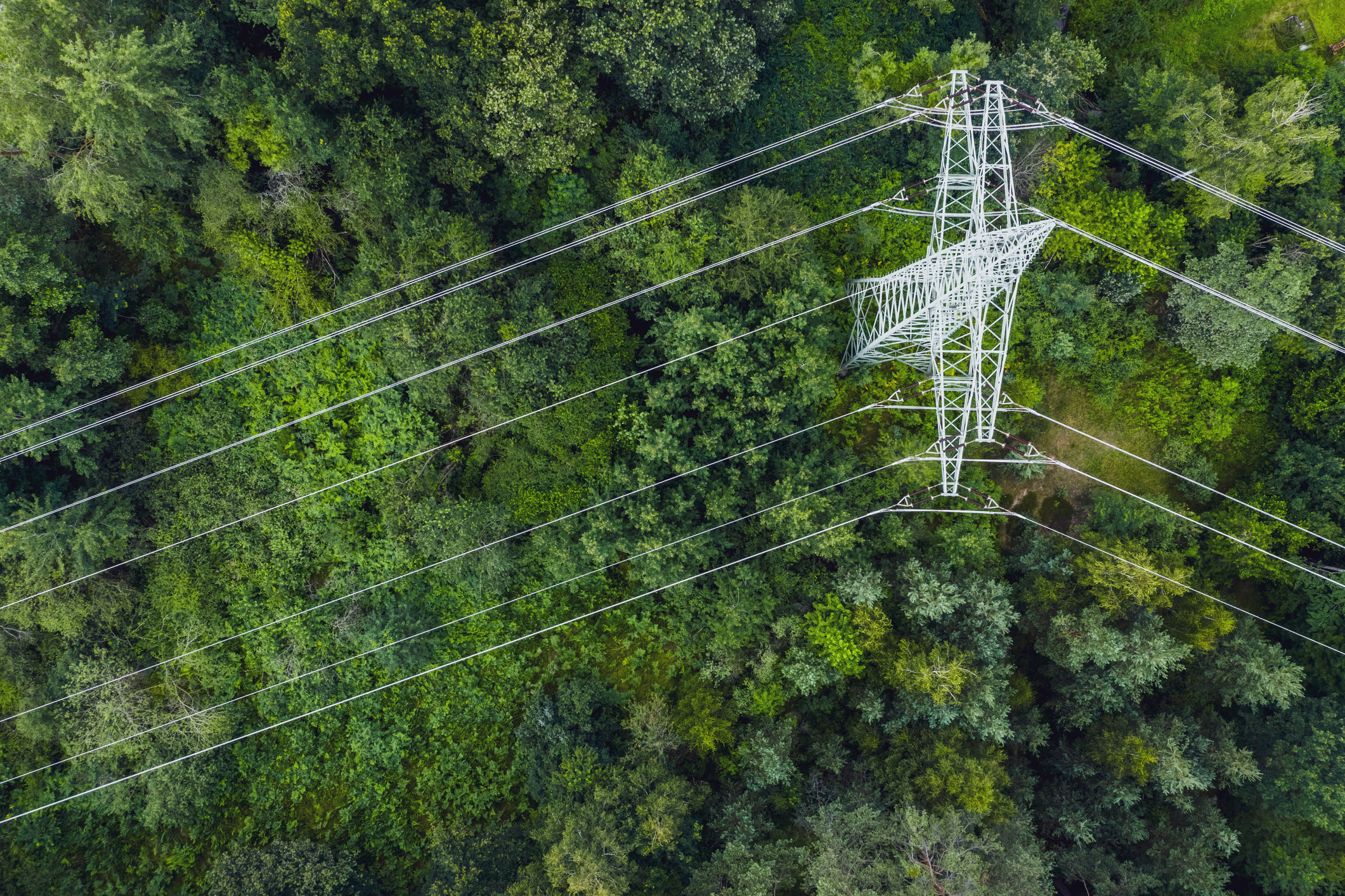 Transmission Line Assessment